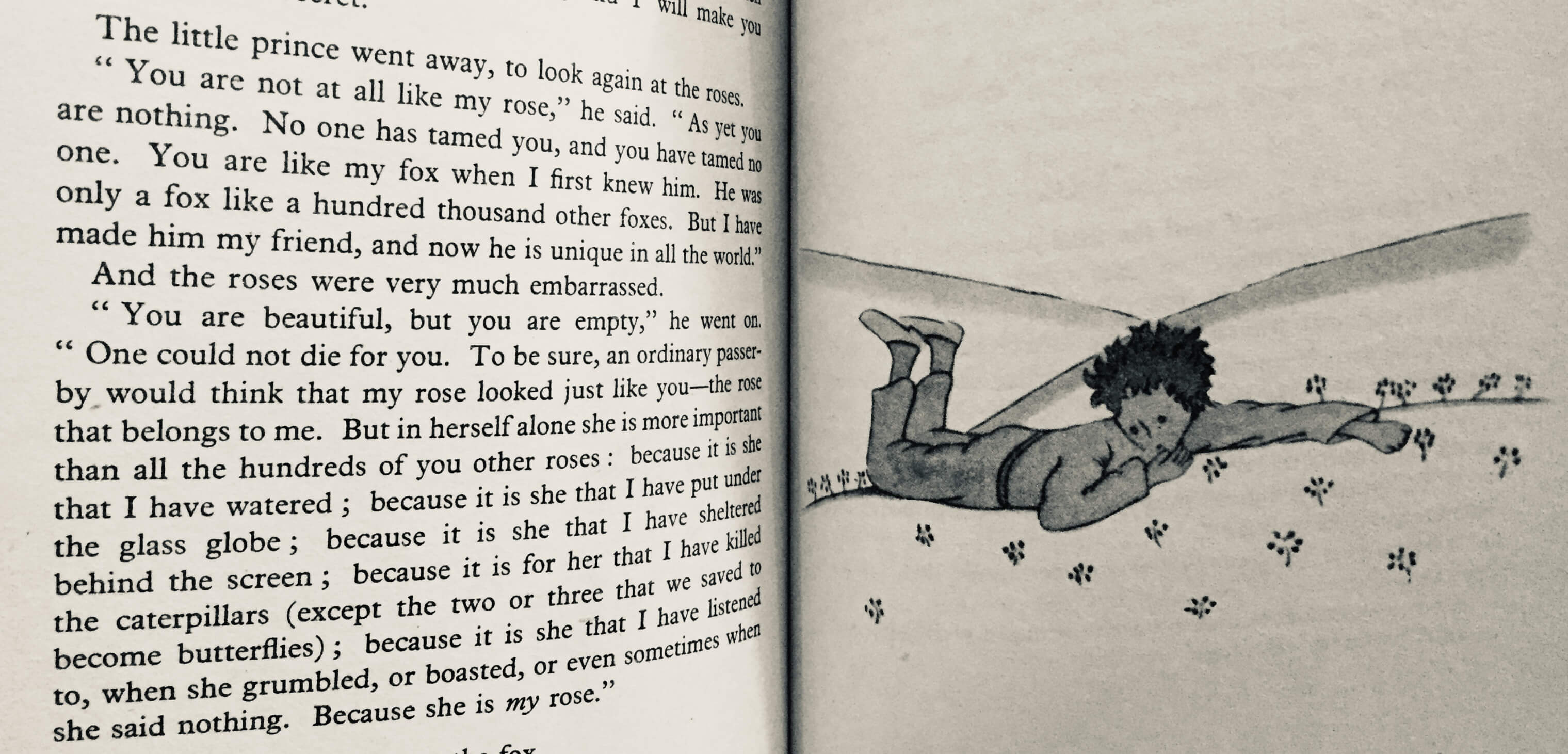 page from the little prince. the little prince excerpts