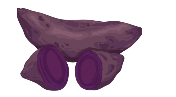 The Growing Global Demand for Ube and Its Emerging Challenges 